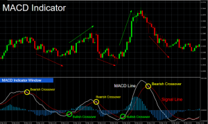 top-5-crypto-indicators