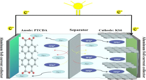 Organic photovoltaic dual-ion battery